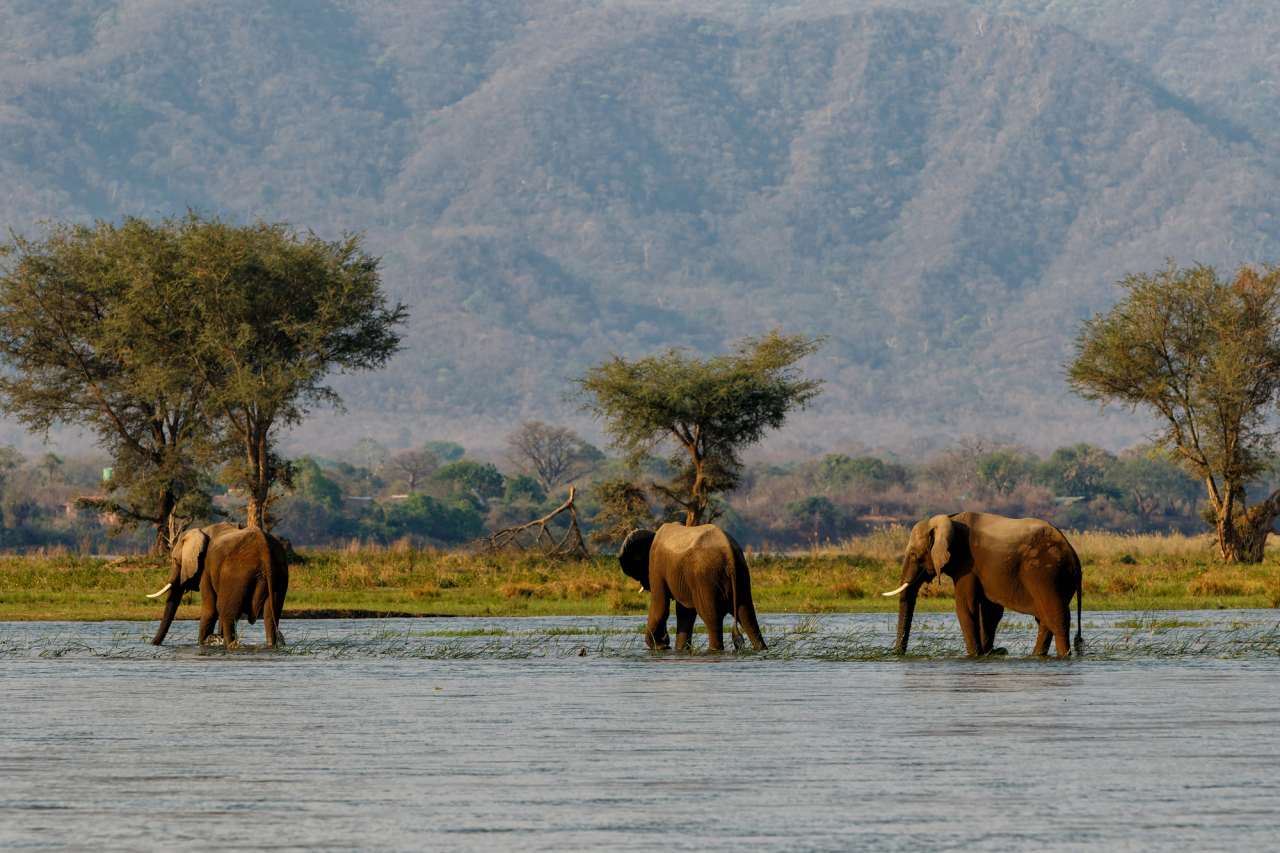 Zimbabwe - park Mana Pools