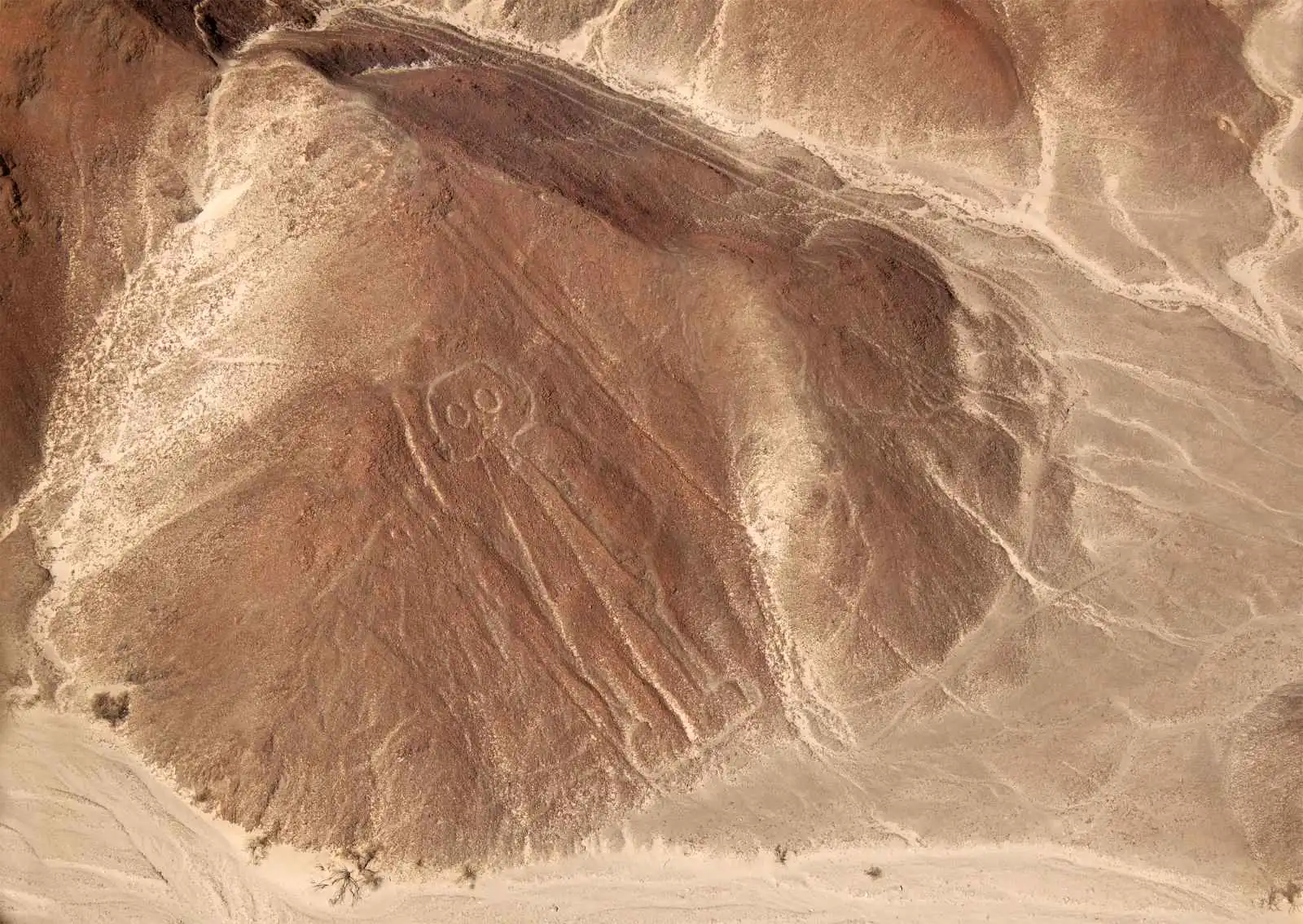Geoglyf zvaný Astronaut – jeden z nejslavnějších obrazců Nazky s velkýma kulatýma očima