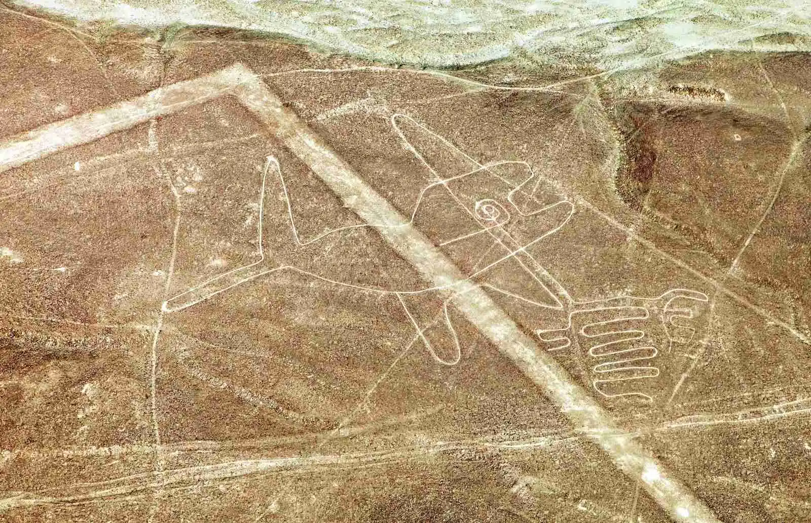 Geoglyf kosatky (někdy označovaný jako velryba) patří k nejstarším a nejvýraznějším obrazcům na planině Nazca. Měří přibližně 65 metrů a vznikl před více než dvěma tisíci lety odstraněním tmavé vrstvy kamenů.