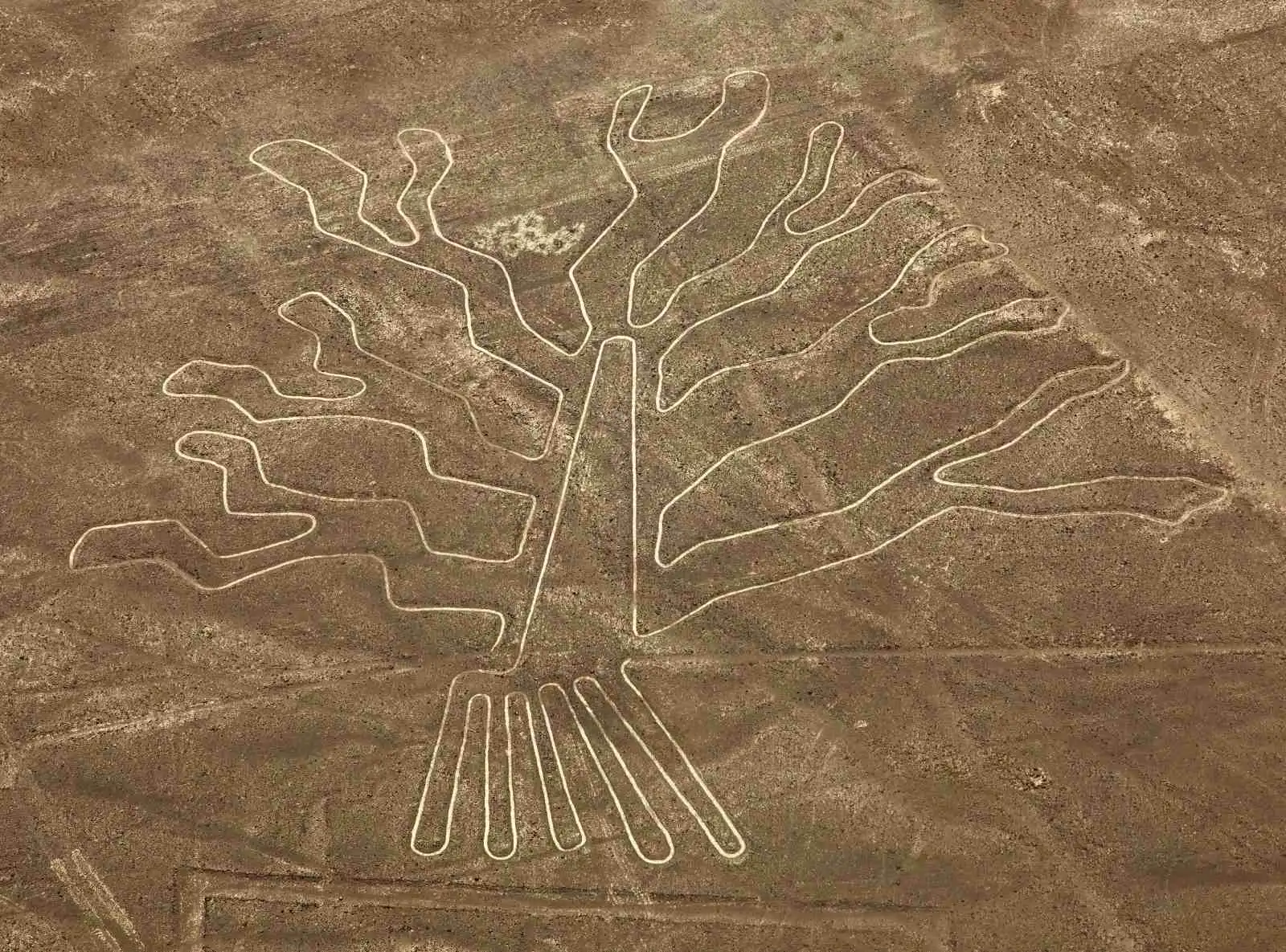 Geoglyf Strom v poušti Nazca, viditelný z pozemní vyhlídkové věže